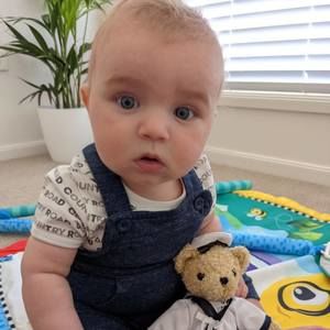 Meet your Posher, Lilly